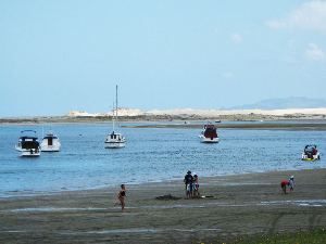 mangawhai harbour at dusk-950